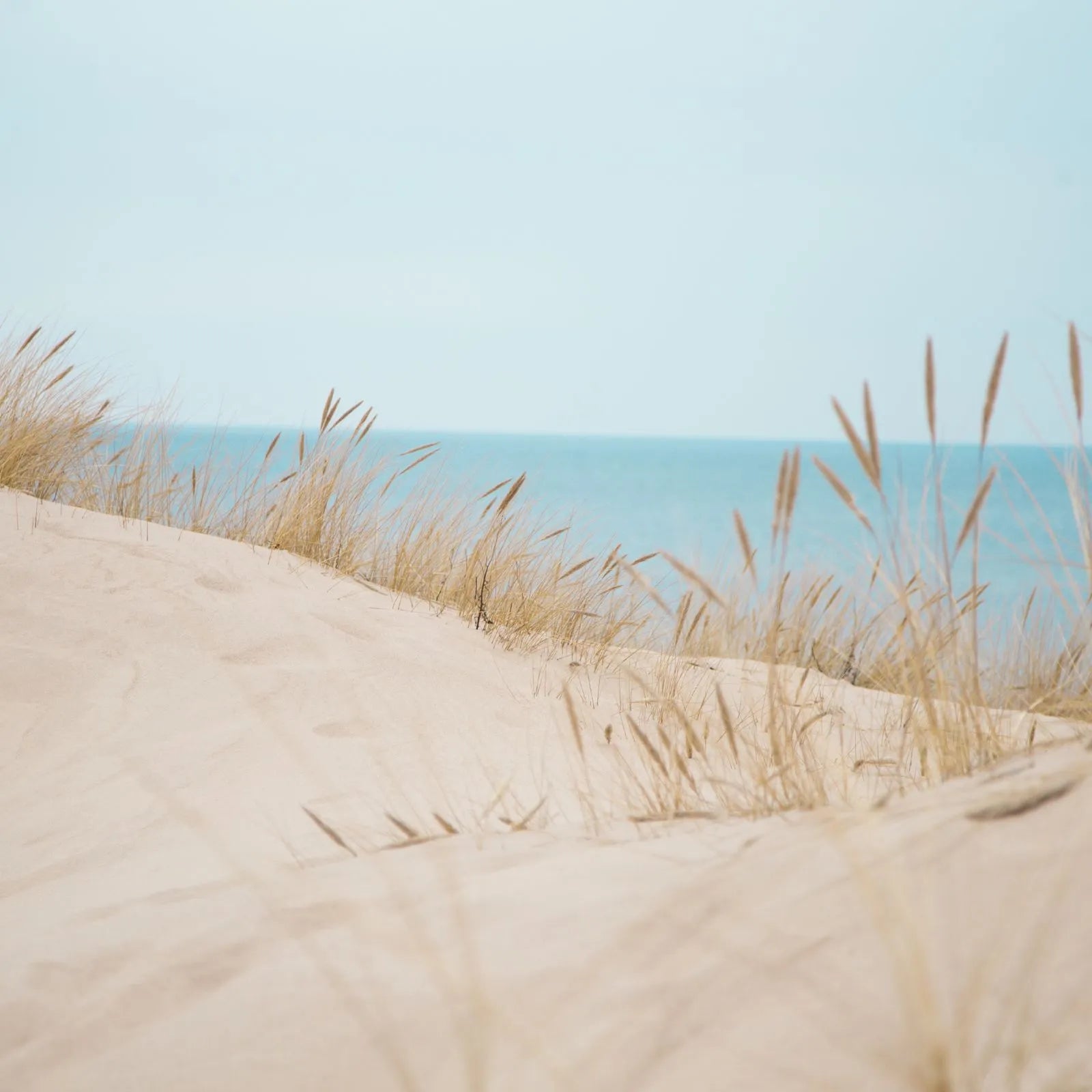 dunes nearby the sea with blue sky