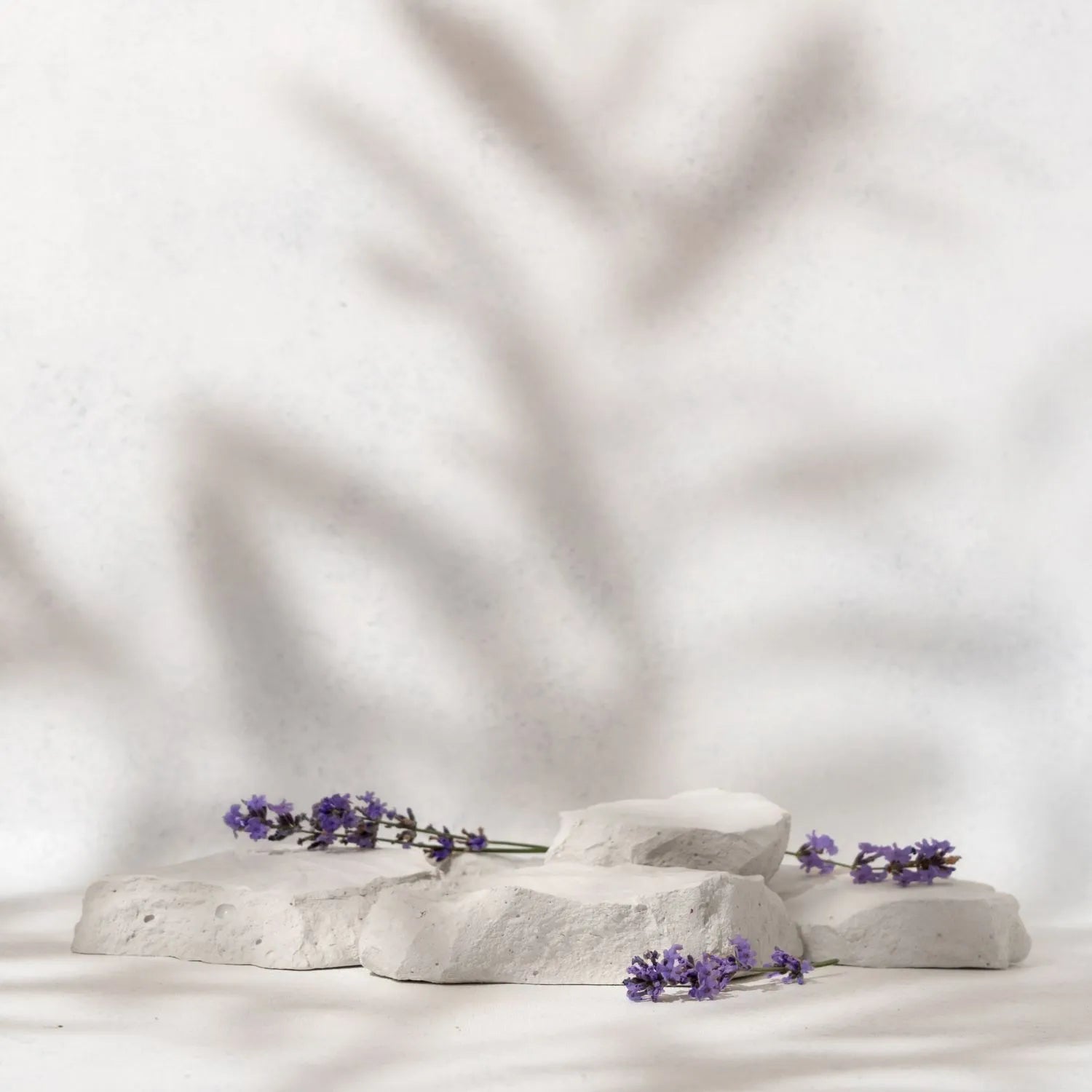 stone decoration on a clear background and purple stems