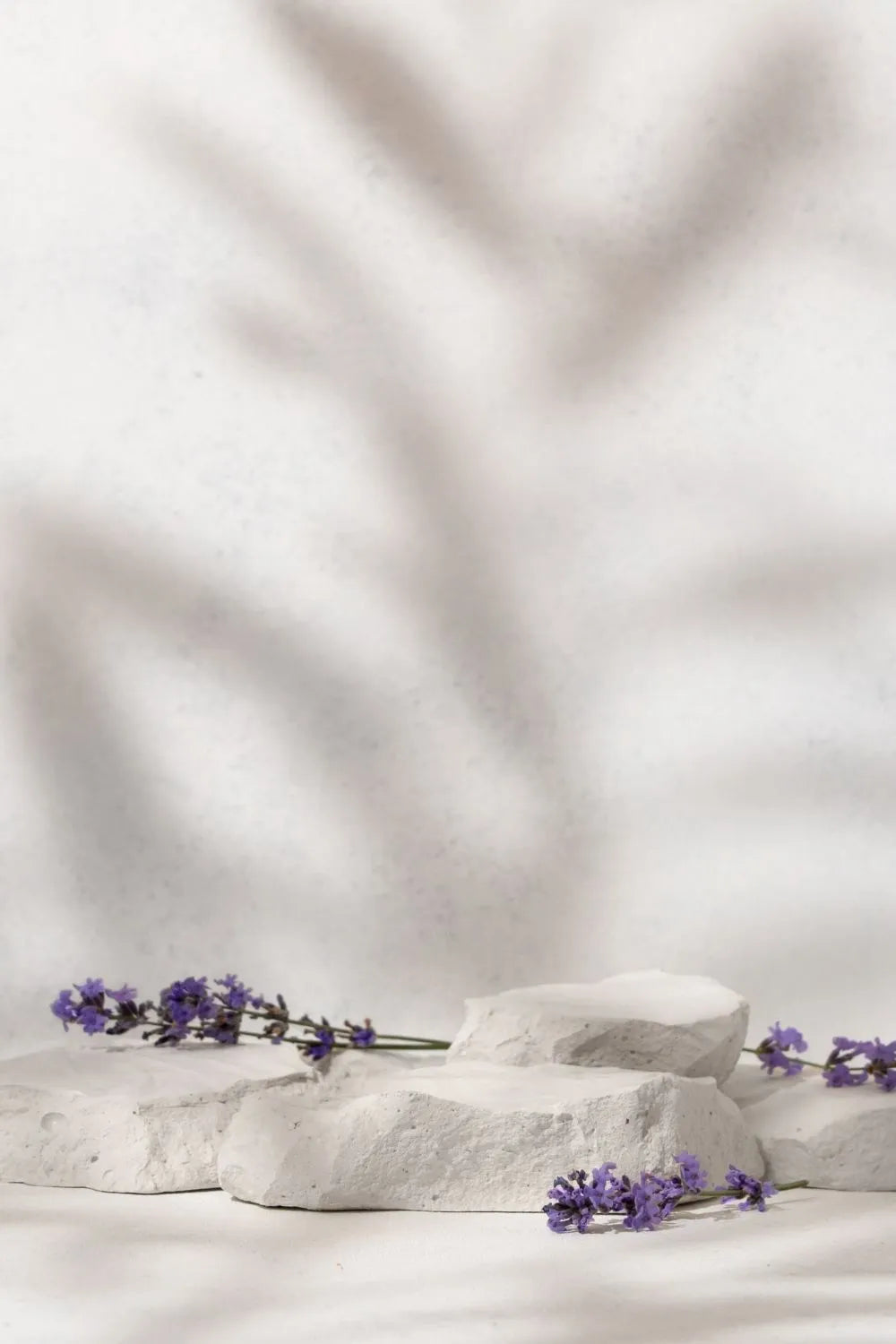 stone decoration on a clear background and purple stems
